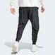 Штани Adidas City Escape Premium Pants IC3727 ціна