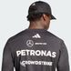 Джерсі чоловіче Mercedes - AMG Petronas Formula One Team Driver Performance JW5364 ціна