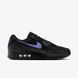 Кросівки чоловічі Nike AIR Max 90 DM0029-021 ціна