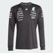 Джерсі чоловіче Mercedes - AMG Petronas Formula One Team Driver Performance JW5364 ціна