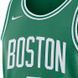 Мужская майка Nike BOSTON CELTICS ICON EDITION DN1997-312 цена