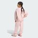 Костюм детский LOOSE CREW JOGGER SET KF7517 цена